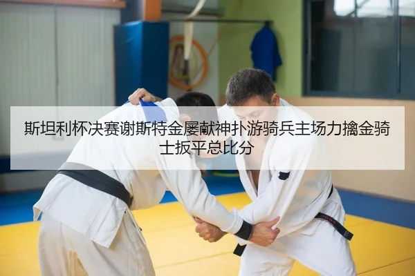 斯坦利杯决赛谢斯特金屡献神扑游骑兵主场力擒金骑士扳平总比分